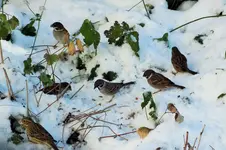 DSCF4669 (2).webp
