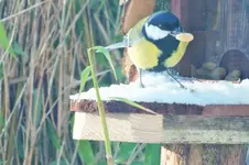 DSCF4691 (2).webp