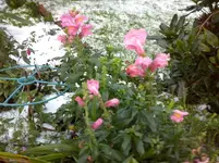 CAM01416.webp