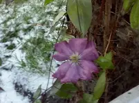 CAM01410.webp