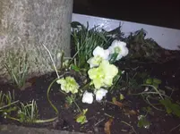 CAM01423.webp