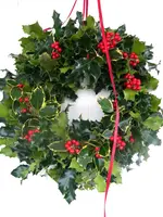 DSCN6716.webp