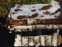 Vogelhaus_bepflanzt_Semps_erster Schnee_schmilzt_900.webp