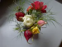 P1240438.webp