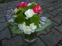 P1170776.webp