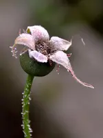 DSC_7709.webp