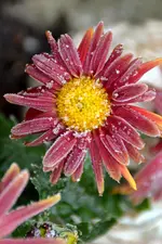 DSC_7704.webp