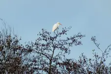 DSCF4708 (2).webp