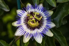 IMG_6120 (2).webp