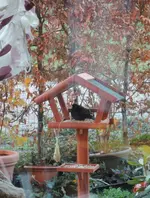 DSCN5836.2.webp