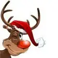 images[10].webp