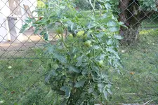 IMG_8161.webp