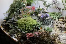 lichtkammer.webp