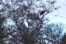 DSCF4706.webp
