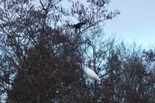 DSCF4707.webp