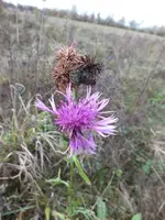 DSCF6098.webp