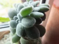 DSCF6012.webp