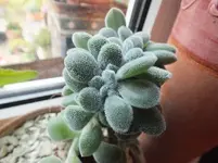 DSCF6009.webp