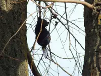 DSCF6194.webp
