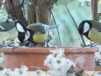 DSCF6497.webp