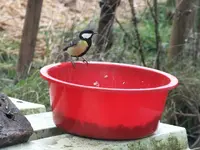 DSCF6006.webp