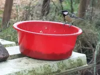 DSCF6010.webp