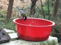 DSCF6007.webp
