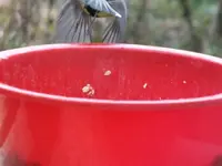 DSCF6015.webp