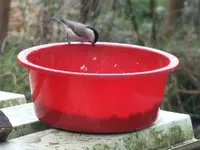 DSCF6016.webp