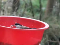 DSCF6011.webp