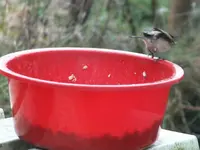 DSCF6020.webp