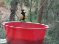 DSCF6030.webp