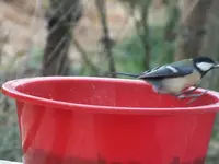 DSCF6031.webp