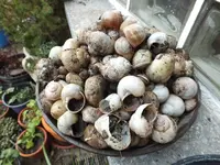 DSCF6032.webp