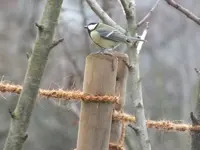 DSCF6025.webp
