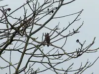 DSCF6040.webp