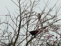 DSCF6055.webp