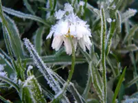 DSCN6735.webp