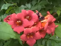 BILD4316.webp