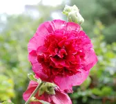 DSC_5_1038.2.webp