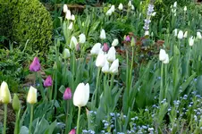 DSCF2669.webp