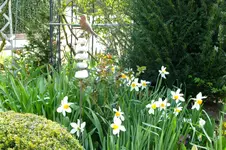 DSCF2653.webp