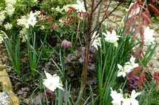 DSCF1618.webp