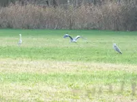 DSCF6142.webp