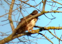 DSCF6146 - Kopie.webp