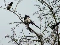 DSCF6064.webp