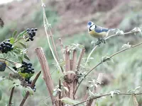 DSCF6131.webp