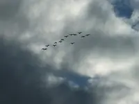 DSCF6135.webp