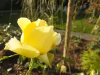 DSCF9221.webp