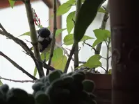 DSCF6068.webp